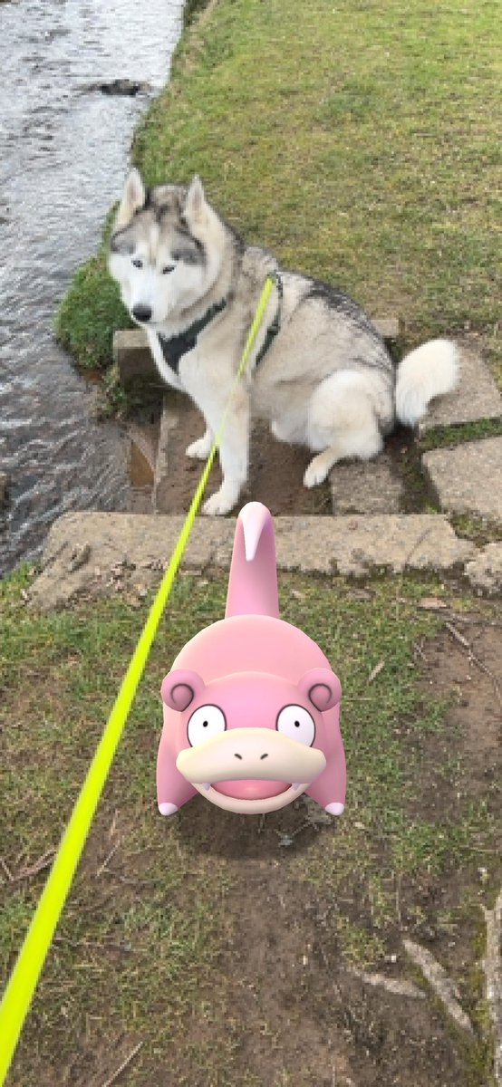 Donna Burwell tweet media