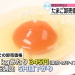 【期待】約3ヶ月ぶりに値下がり!？卵の卸売価格。