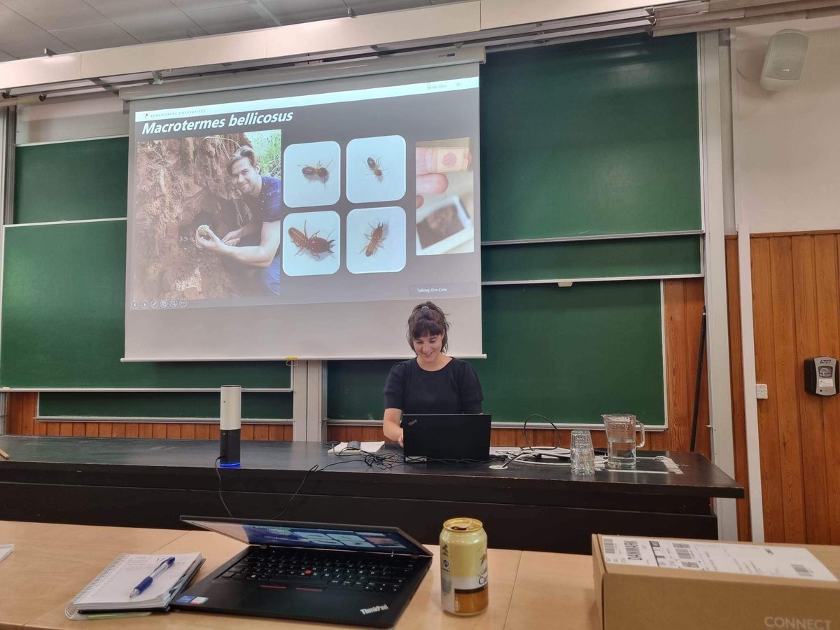 Friday June 16th, at the Ecology and Evolution department at the University of Copenhagen, postdoc Erin Cole presented a seminar on social immunity in fungus farming termites. #socsymevo #science #Termites #immunity Photos by @BlomStine 📸