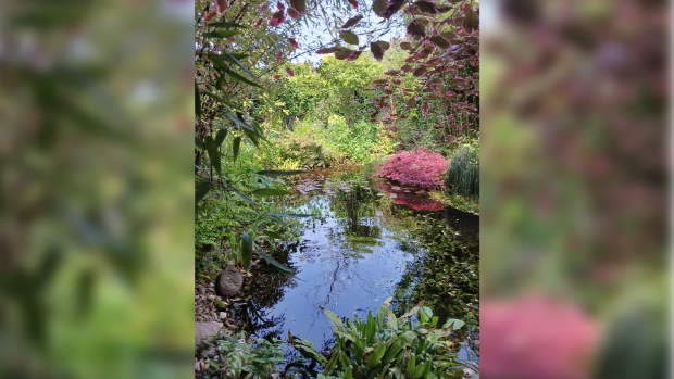 Een viertal tuinliefhebbers in Ruurlo en Vorden stellen tuin open voor publiek -  contactnoord.nl/l/457508