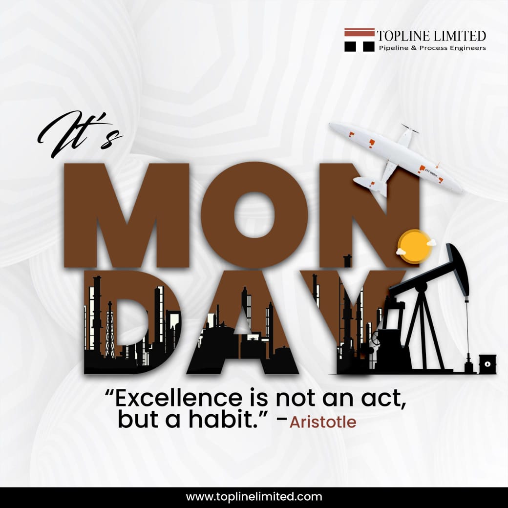 ToplineNigeria's tweet image. Excellence isn't a one-time act, it's a daily habit. Consistent dedication and perseverance pave the way to greatness. Let's make excellence our way of life.

#ExcellenceAsAHabit #ExcellenceInAction #weekinfocus #noexcusesjustresults
