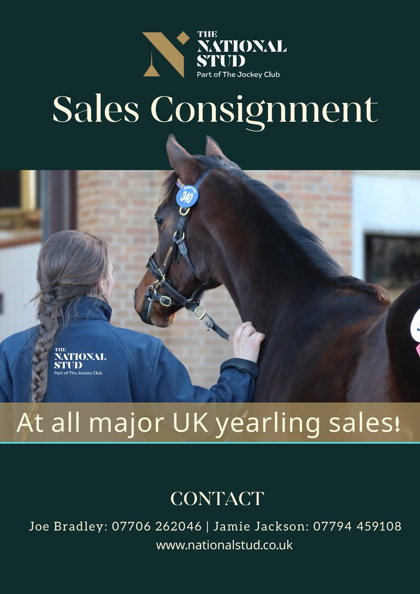 NatStudStallion's tweet photo. Our team are always happy to help!

Please get in touch with any questions 👇 https://t.co/GZJjwREvpn