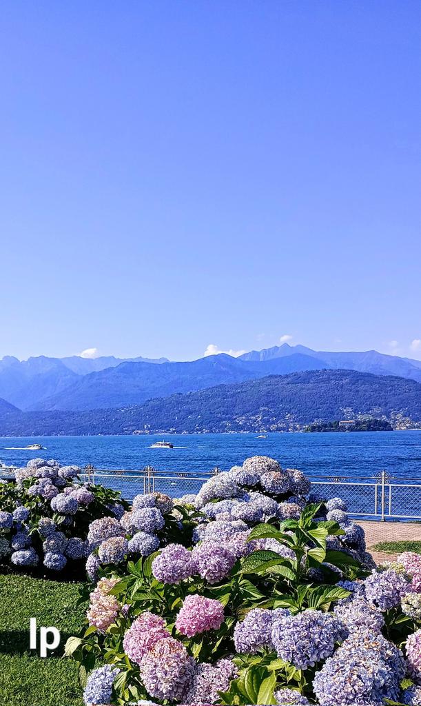 LauraPapa18's tweet photo. Stresa Lago Maggiore Italy 🇮🇹🇮🇹🇮🇹🇮🇹🇮🇹🇮🇹🇮🇹🇮🇹🇮🇹🇮🇹
Happy new week 💙🌸🪻🩵 https://t.co/QXOwG0fL6w
