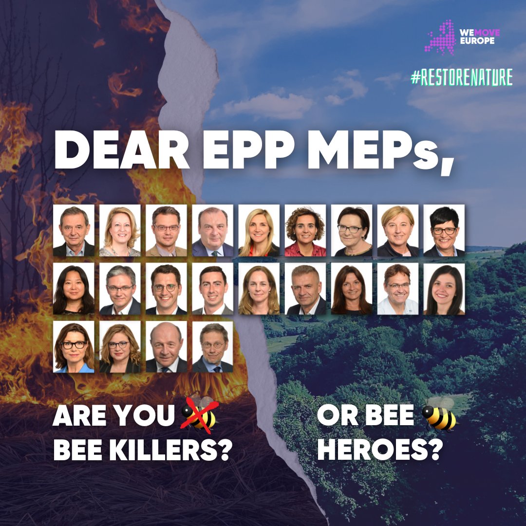 wemoveEU's tweet photo. π£ Hey @EPPGroup, you're letting down European farmers and pollinators on #RestoreNature!
Let's bee π honest: nature restoration boosts resilience, aids pollinators and enhances food security.
Make the right choice in @EP_Environment tomorrow and help us #BringBeesBack! https://t.co/hc6ouNLdNL