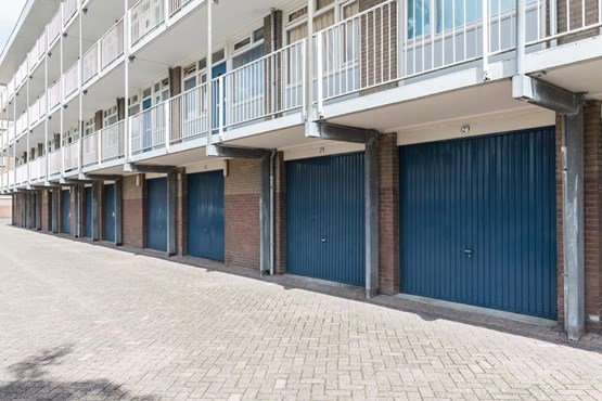 WormerWonen tweet media