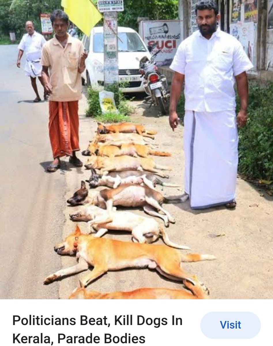 APPROXIMATELY 9000 CHURCHES IN KERALA.(ref Quora) 5600 Catholic churches. 
2000+ Orthodox, Jacobite & other Apostolic Churches. 1500+
Protestant & Pentecostal Churches. I appeal to the Churches of Kerala to stop the cruel killing of dogs. #BoycottKerala