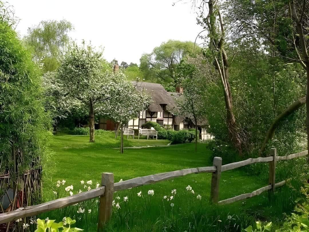 artindetails's tweet photo. peaceful living. https://t.co/LrU6ERKyAK