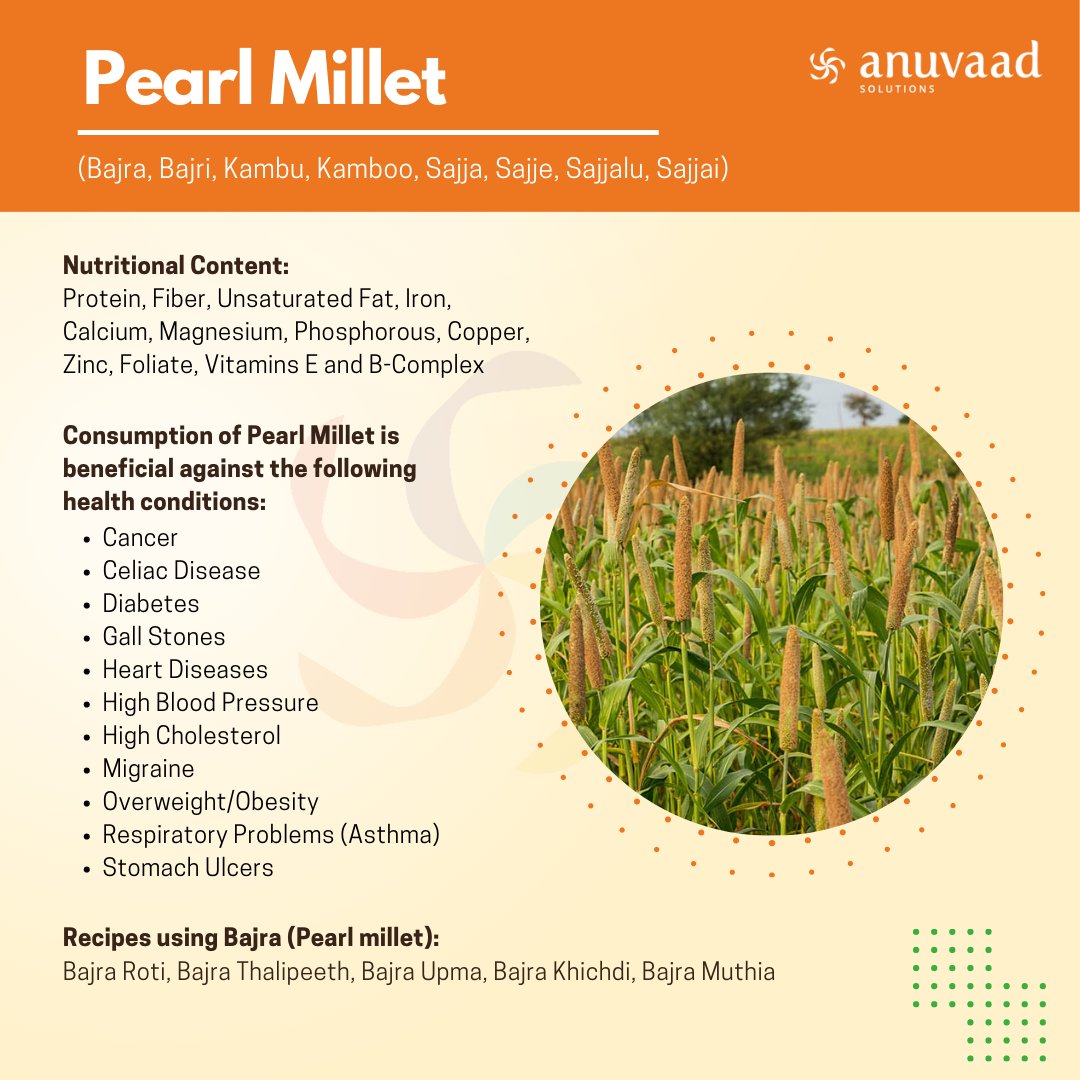 anuvadsolutions's tweet photo. #KnowYourMillets-Did you know that Pearl millet(Bajra)contains phytochemicals that can help you lower the cholesterol level of your body? Let's live healthier by incorporating millets into our daily meals, promoting health and sustainability one bite at a time! @IYM2023 @UN @FAO https://t.co/sttBQxREXV