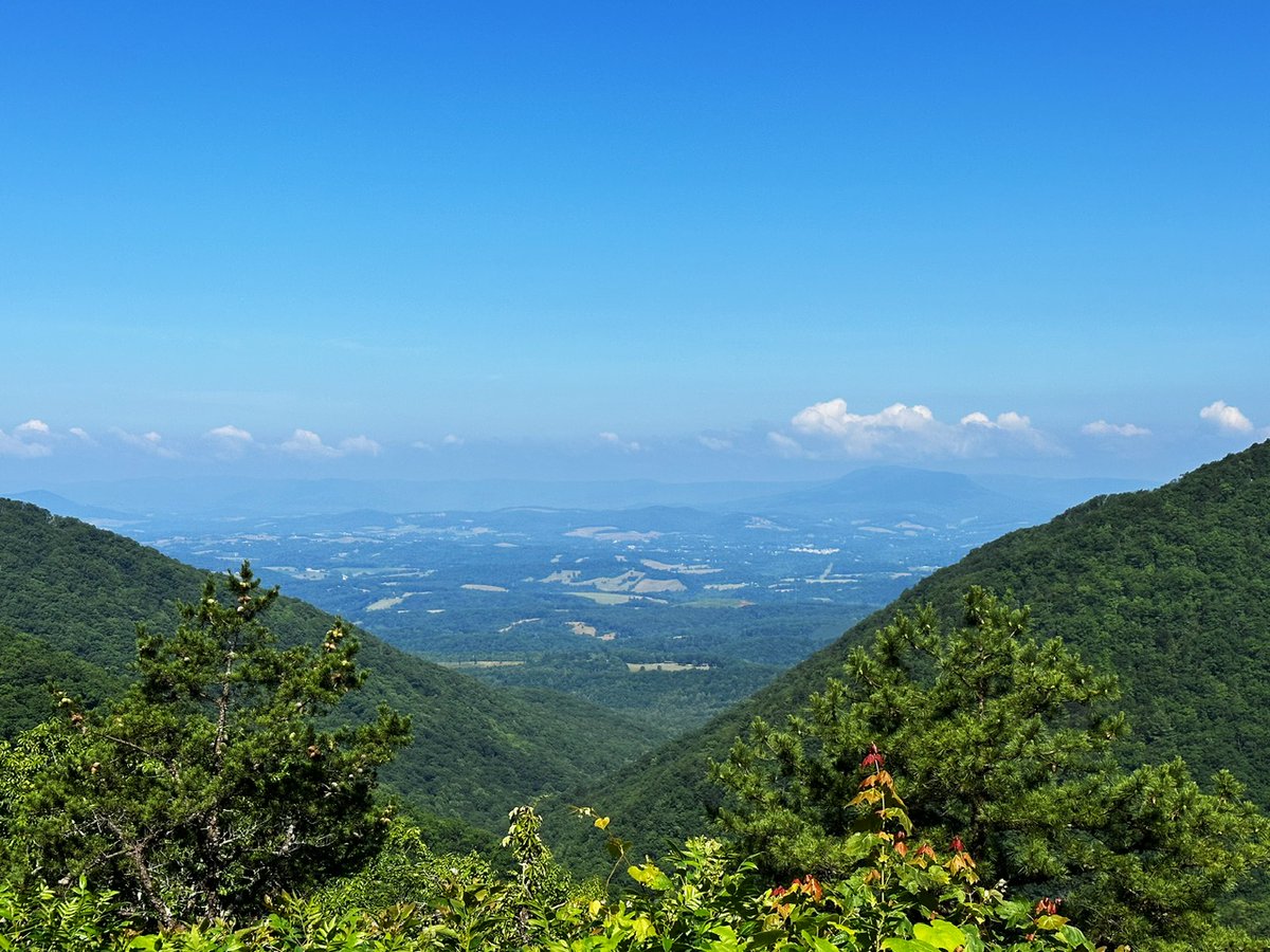 ⛰️ Three interesting papers, a press conference cancelled, and riding through the forest - mailchi.mp/gmrva/good-mor…