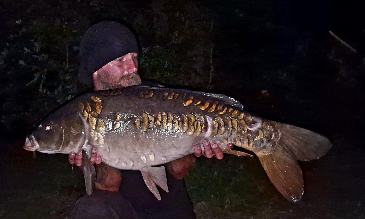 Godman Angling tweet media