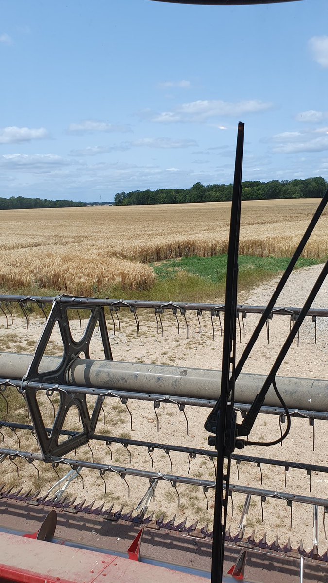 agri_zoom's tweet image. 5️⃣, 4️⃣, 3️⃣, 2️⃣, 1️⃣... Top
C&apos;est parti ! #FrAgriMoisson2023 

(Ca se trouve dans 10 min on arrête 🤭)