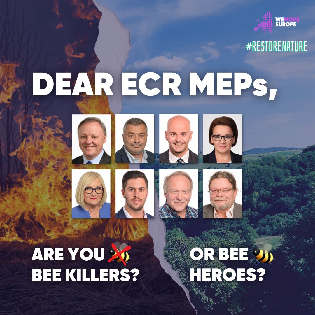 📣 Hey <a href="/ecrgroup/">ECR Group</a>, did you know 50% of global GDP is at risk due to nature loss? 

Climate disasters already cost the 🇪🇺 over €12 billion annually!

#RestoreNature is a win-win for our planet 🌱 and our wallets 💸

🐝 Be a nature hero in <a href="/EP_Environment/">ENVI Committee Press</a> tomorrow!