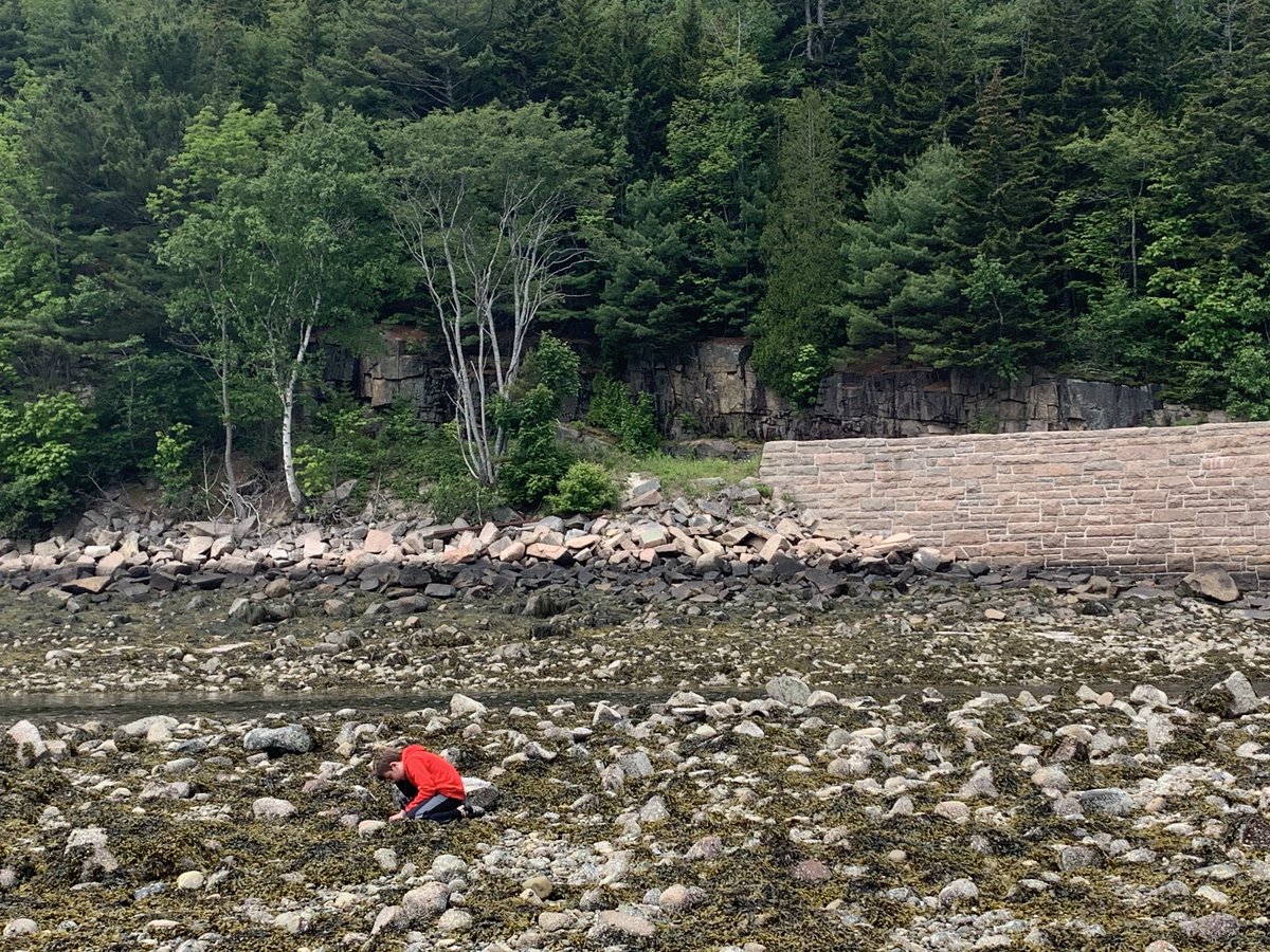 Sarah Matathia MD MPH DipABLM tweet media