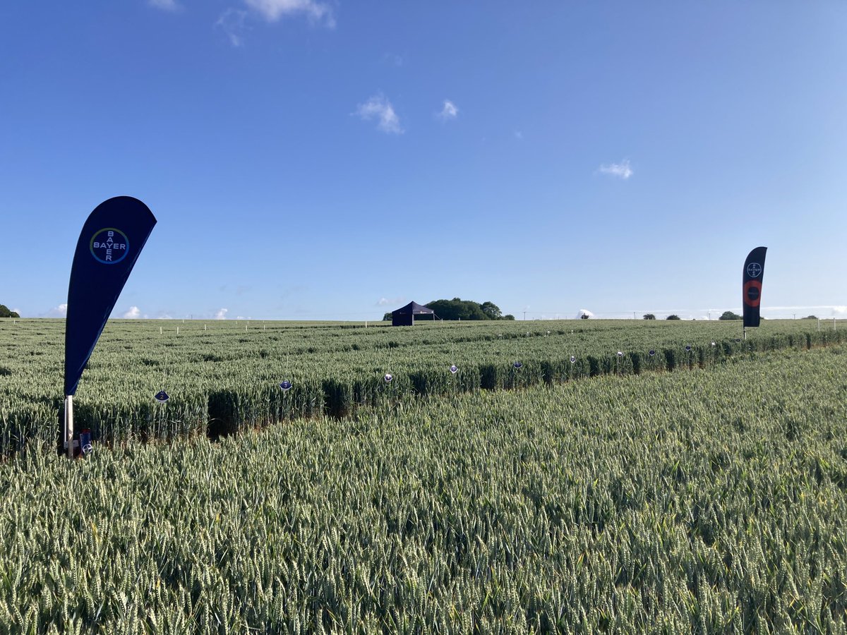 First job of the day done. A great site for ⁦@rozzimartin⁩ to discuss Iblon ⁦<a href="/AgrovistaUK/">Agrovista UK</a>⁩ #iblononit