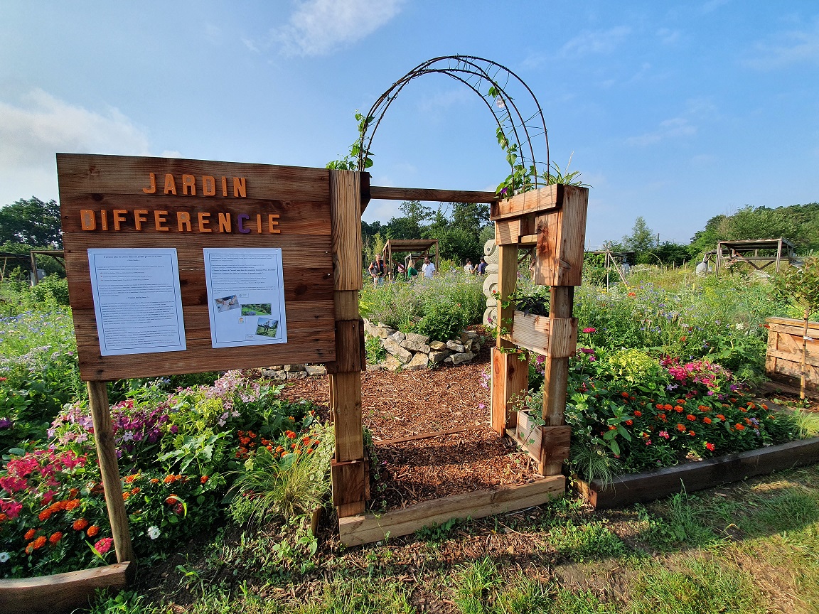 Ainfo Mag : des jeunes ont créé un jardin différiencé aux jardins de la Providence à Bourg en Bresse
rcf.fr/actualite/ainf…