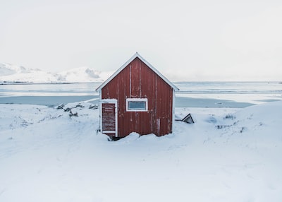 Photo By Matthias Tillen | Unsplash 
 #produçãomusical #produtormusical #gaybear #footballpremierleague #functionalfoods