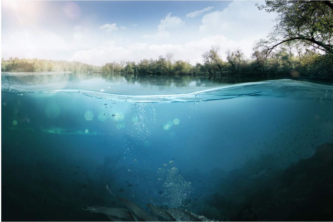 FreshwaterQuality (@freshwaterqual1) on Twitter photo 1/2 Our team <a href="/geojho/">Joseph Holden</a>, <a href="/chapmanpippa/">Pippa Chapman</a>, <a href="/Daniel_Read/">Daniel Read</a>, <a href="/pj13302/">Penny Johnes</a>, Dr Vicky Bell & Dr Amy Pickard are looking forward to sharing research from 5 projects in our Freshwater Quality Programme at the Better Water Quality for Wales Conference tmrw <a href="/ep_wales/">Environment Platform Wales</a>
bit.ly/3PvN5WR 1/2 Our team <a href="/geojho/">Joseph Holden</a>, <a href="/chapmanpippa/">Pippa Chapman</a>, <a href="/Daniel_Read/">Daniel Read</a>, <a href="/pj13302/">Penny Johnes</a>, Dr Vicky Bell & Dr Amy Pickard are looking forward to sharing research from 5 projects in our Freshwater Quality Programme at the Better Water Quality for Wales Conference tmrw <a href="/ep_wales/">Environment Platform Wales</a>
bit.ly/3PvN5WR