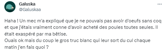 Galuska tweet media