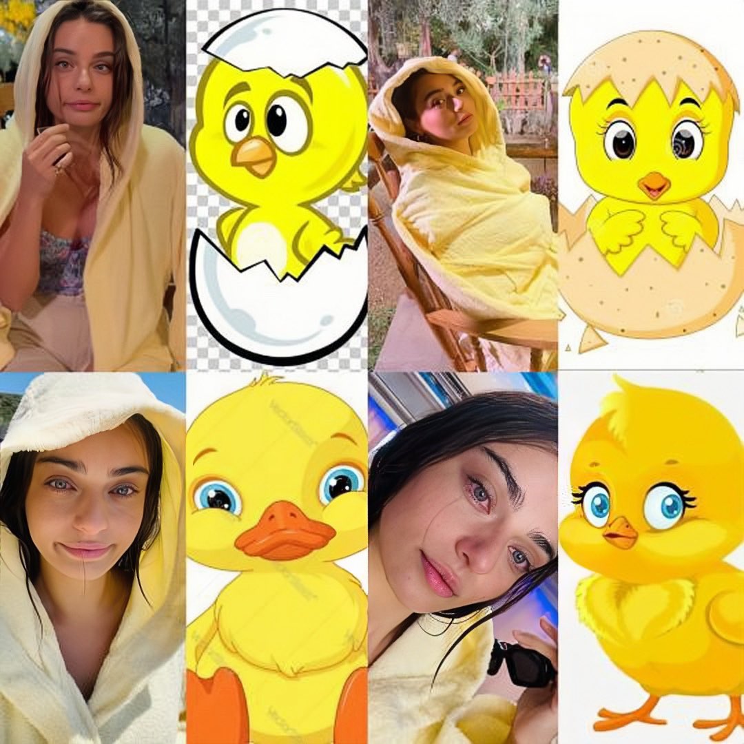 alpayc4ever1's tweet photo. Günaydin 🐥🐣 💛  @aycaaysinturan #AycaAyşinTuran https://t.co/4dpofennTj