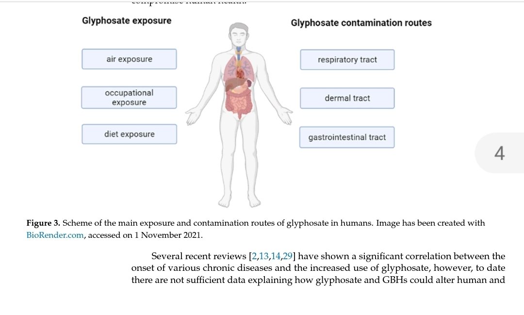 Pleiotropic Outcomes of #Glyphosate Exposure: From Organ Damage to Effects on Inflammation, Cancer, Reproduction & Development

#Roundup #EDCs #Metabolomics #Herbicide #Pesticides #Medtwitter @BreastCancer_UK @GMWatch @PesticideCollab #Exposome #Epitwitter
ncbi.nlm.nih.gov/pmc/articles/P…