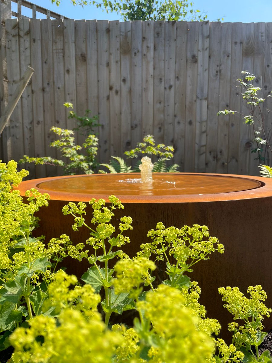 Martyn Wilson tweet media