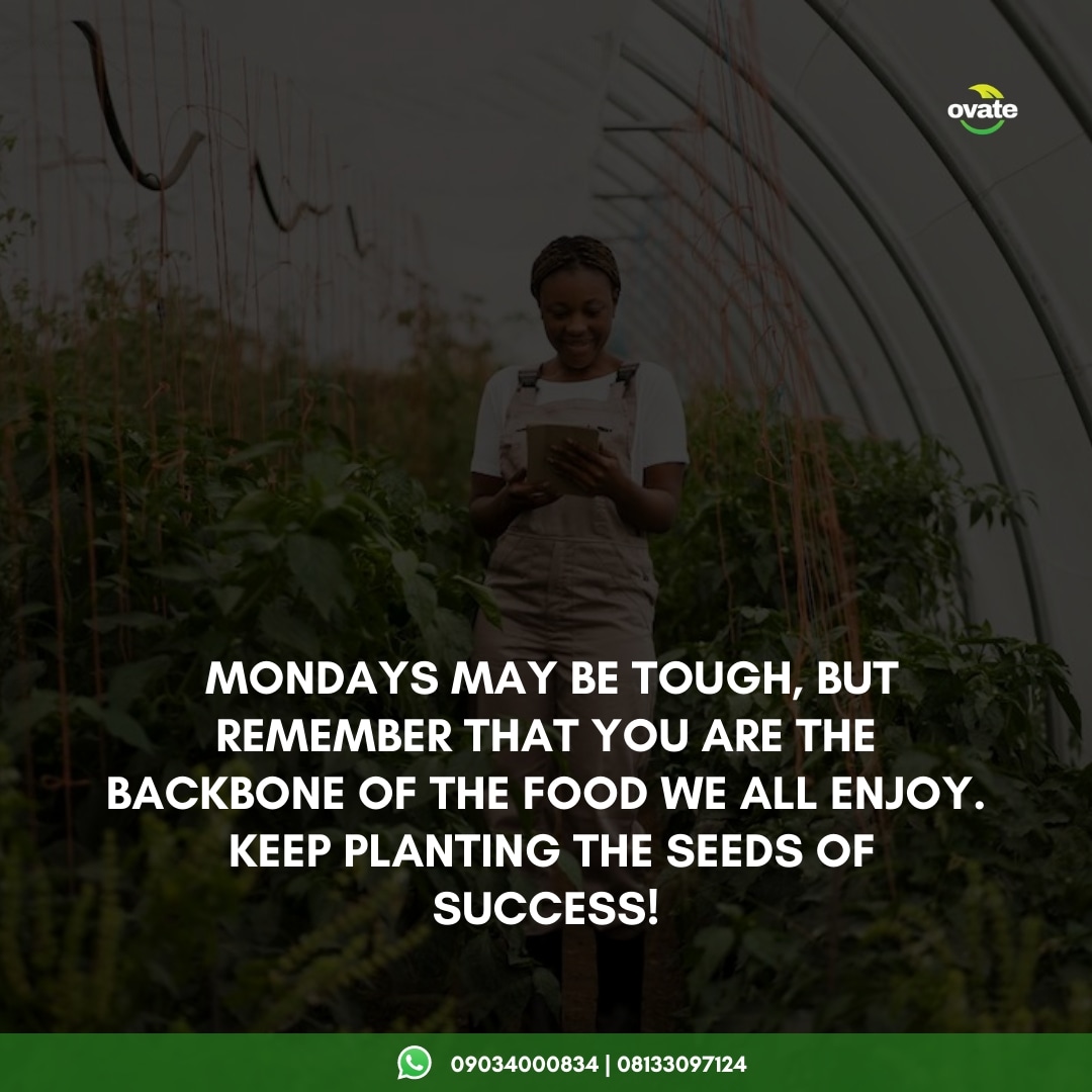 OvateAgro's tweet photo. Keep pushing forward, and may your week be filled with fruitful endeavors! https://t.co/7ZzEhf8edc