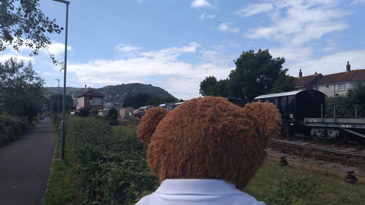 BDMed_Bear's tweet image. So on Saturday I was #teaching in #Minehead &amp;amp; heard what sounded like a steam train... ran down to see &amp;amp; not only was there a steam train (my fave trains!) But I also saw the Caledonian sleeper train! *happy ears* #bearswithjobs #bearsliketrains #MentalHealthMatters