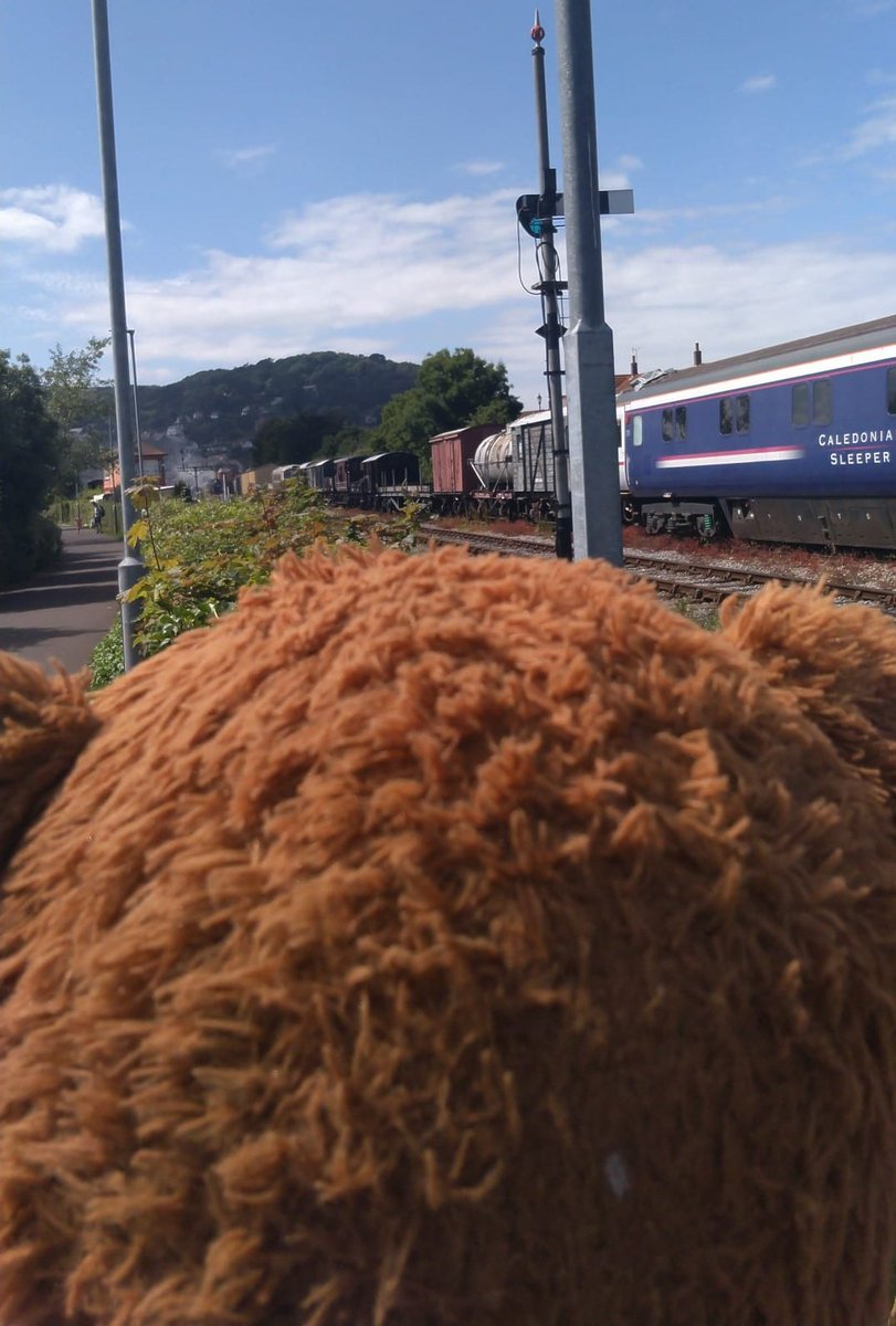 BDMed_Bear's tweet image. So on Saturday I was #teaching in #Minehead &amp;amp; heard what sounded like a steam train... ran down to see &amp;amp; not only was there a steam train (my fave trains!) But I also saw the Caledonian sleeper train! *happy ears* #bearswithjobs #bearsliketrains #MentalHealthMatters