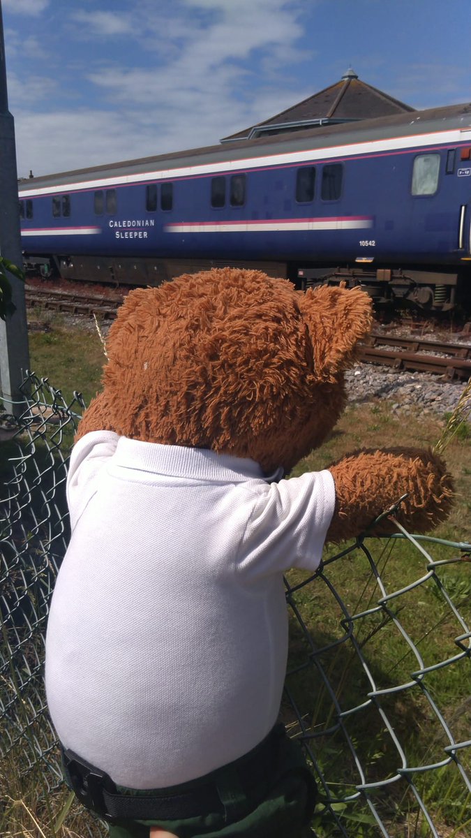 BDMed_Bear's tweet image. So on Saturday I was #teaching in #Minehead &amp;amp; heard what sounded like a steam train... ran down to see &amp;amp; not only was there a steam train (my fave trains!) But I also saw the Caledonian sleeper train! *happy ears* #bearswithjobs #bearsliketrains #MentalHealthMatters