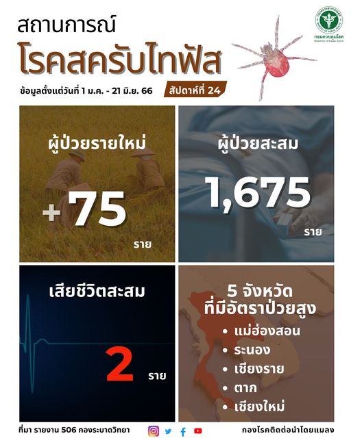 vbdthai's tweet photo. ผู้ป่วยมีแนวโน้มลดลงจากสัปดาห์ที่ผ่านมา และไม่มีรายงานพบผู้ป่วยในพื้นที่จังหวัดใหม่ แต่พื้นที่การระบาดสูงยังคงเป็นพื้นที่ภาคเหนือเช่นเคย โดยเฉพาะจังหวัดเชียงราย
ดูข้อมูลเพิ่มเติม
https://t.co/MsD1y0VnfD
#โรคสครับไทฟัส #scrubtyphus #ไรอ่อน #chigger https://t.co/HUfbUPmLOA
