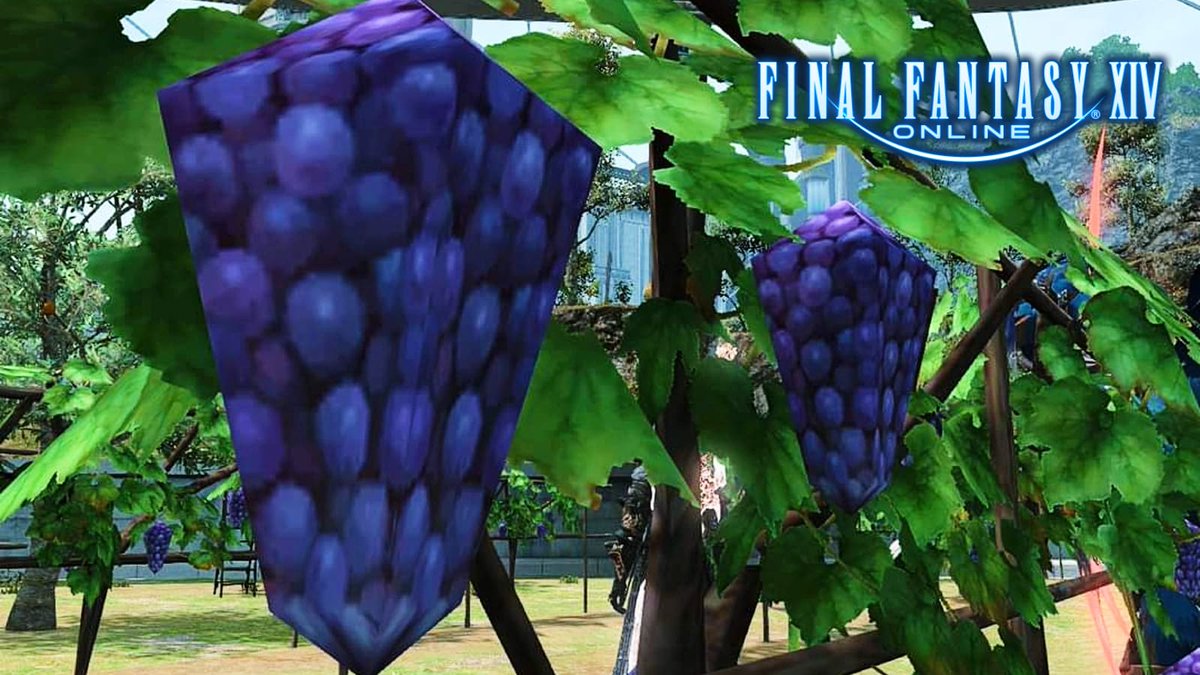 Mister Flech On Twitter RT unbotdanslaram Grape Lovers Paradise 