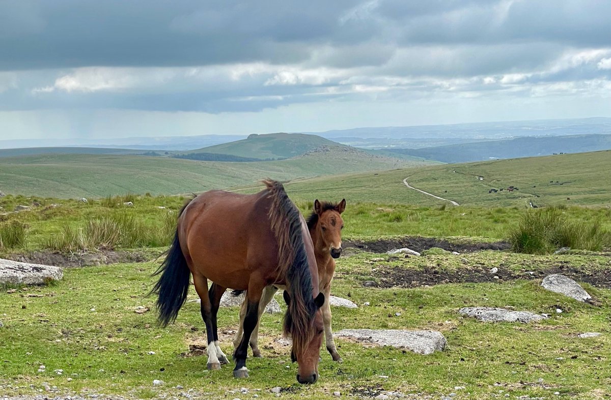 Exeter & District Ramblers tweet media