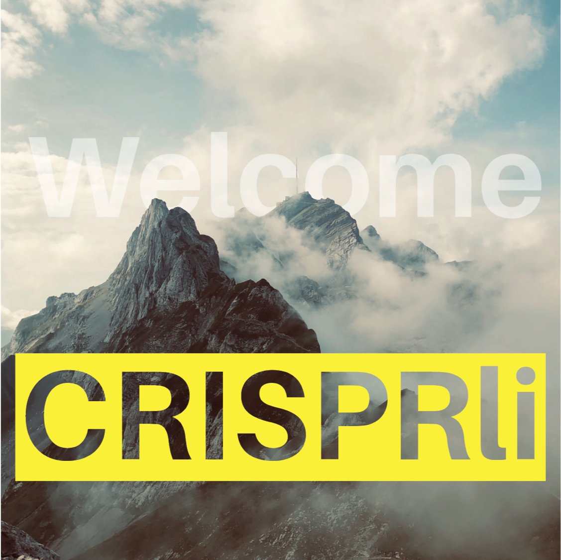 🎙️Excited to launch my new podcast #CRISPRli, a deep dive into the revolutionary world of #CRISPR.  I'll be hosting interviews with top genome editing experts. Ideal for scientists, students or anyone curious about this cutting-edge tech. #GeneEditing
open.spotify.com/show/1NDD79fy2…