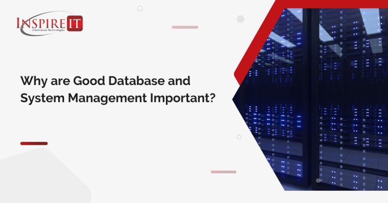 InspireITcorp's tweet image. We all use systems and databases every day while giving no thought to the infrastructure and workings of them - until they go wrong!

Then, suddenly database and system management becomes a priority.

Find out more. Get in touch today.

#databasemanagement #systemmanagement