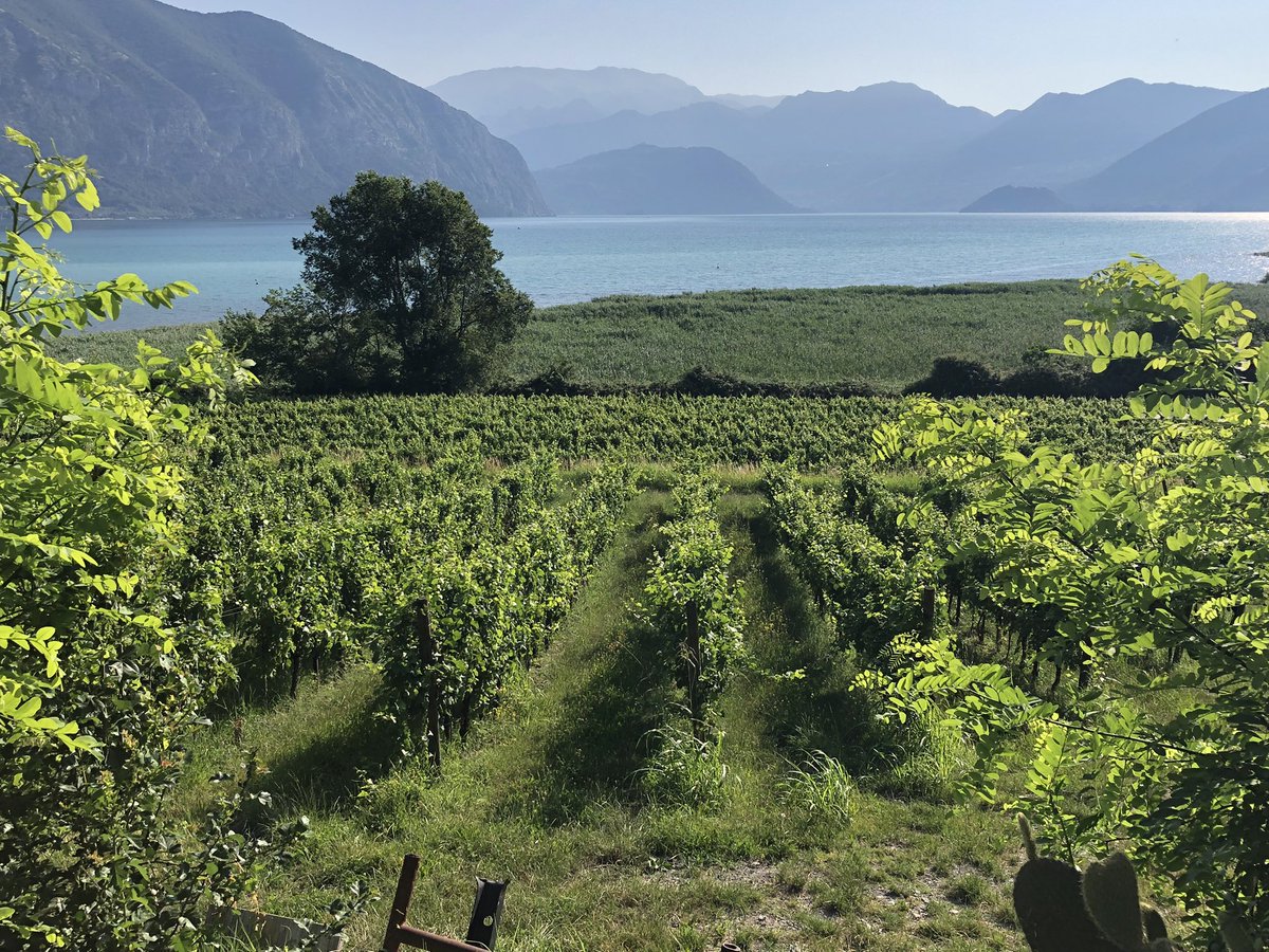 Benvenuto la Bella Italia!🇮🇹☀️🍷