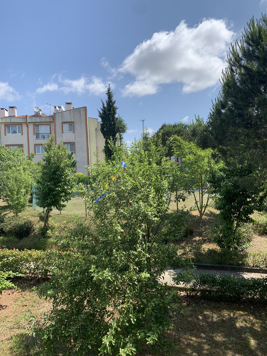 Hayırlı haftalar !!!