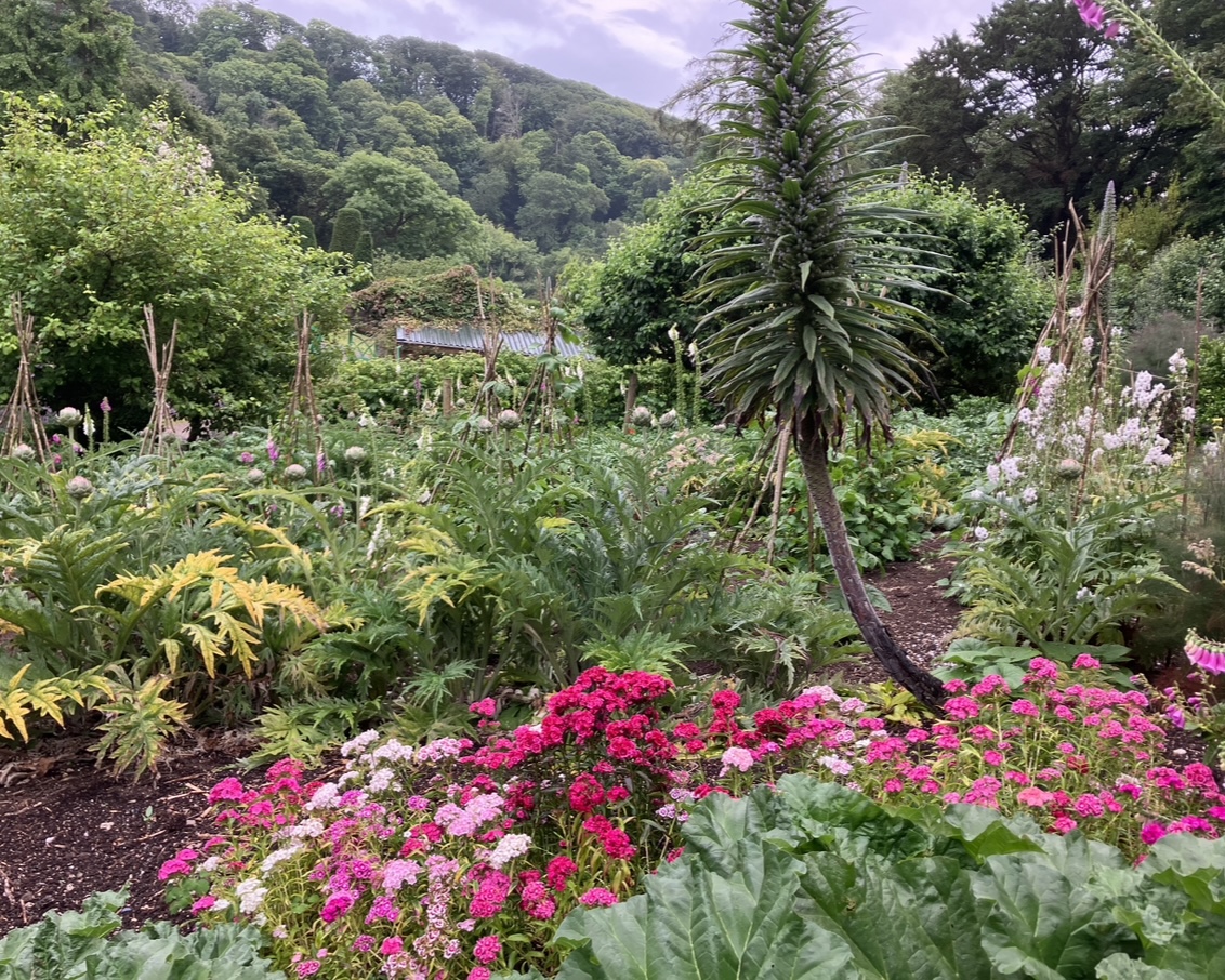 ♥️🌼🦋🌹🐝🪵🐞🦚☀️
Walk from our formal gardens along the many paths on the #HartlandAbbey Estate, right to the sea - just a mile away through our pretty woodland.

🔗 hartlandabbey.com/the-abbey-gard…

#NorthDevon #GardenExplorers #WalledGardens #GardenInspiration #GardensToVisit