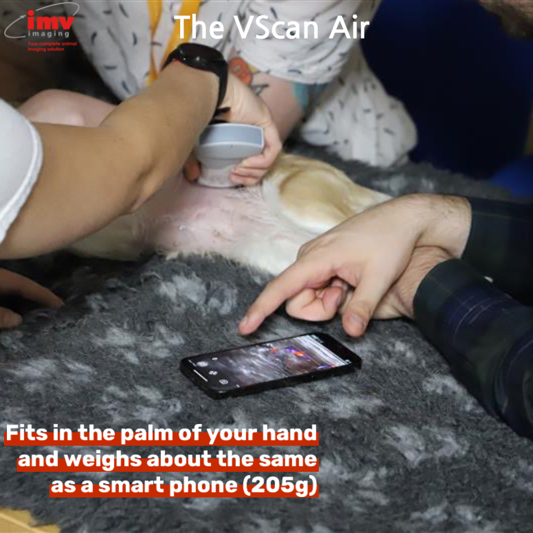 IMVimaging's tweet photo. Experience the future of veterinary diagnostics with the GE VScan Air Veterinary Ultrasound Scanner! ๐๐พ
Learn more about this fantastic product here:
https://t.co/pi9al4czRu
#IMVimaging #GEVScanAir #VeterinaryInnovation https://t.co/GHIaufYewV