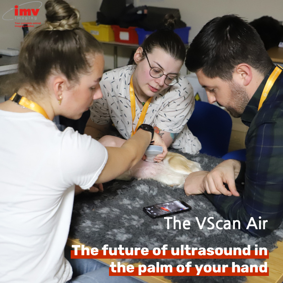 IMVimaging's tweet photo. Experience the future of veterinary diagnostics with the GE VScan Air Veterinary Ultrasound Scanner! ๐๐พ
Learn more about this fantastic product here:
https://t.co/pi9al4czRu
#IMVimaging #GEVScanAir #VeterinaryInnovation https://t.co/GHIaufYewV