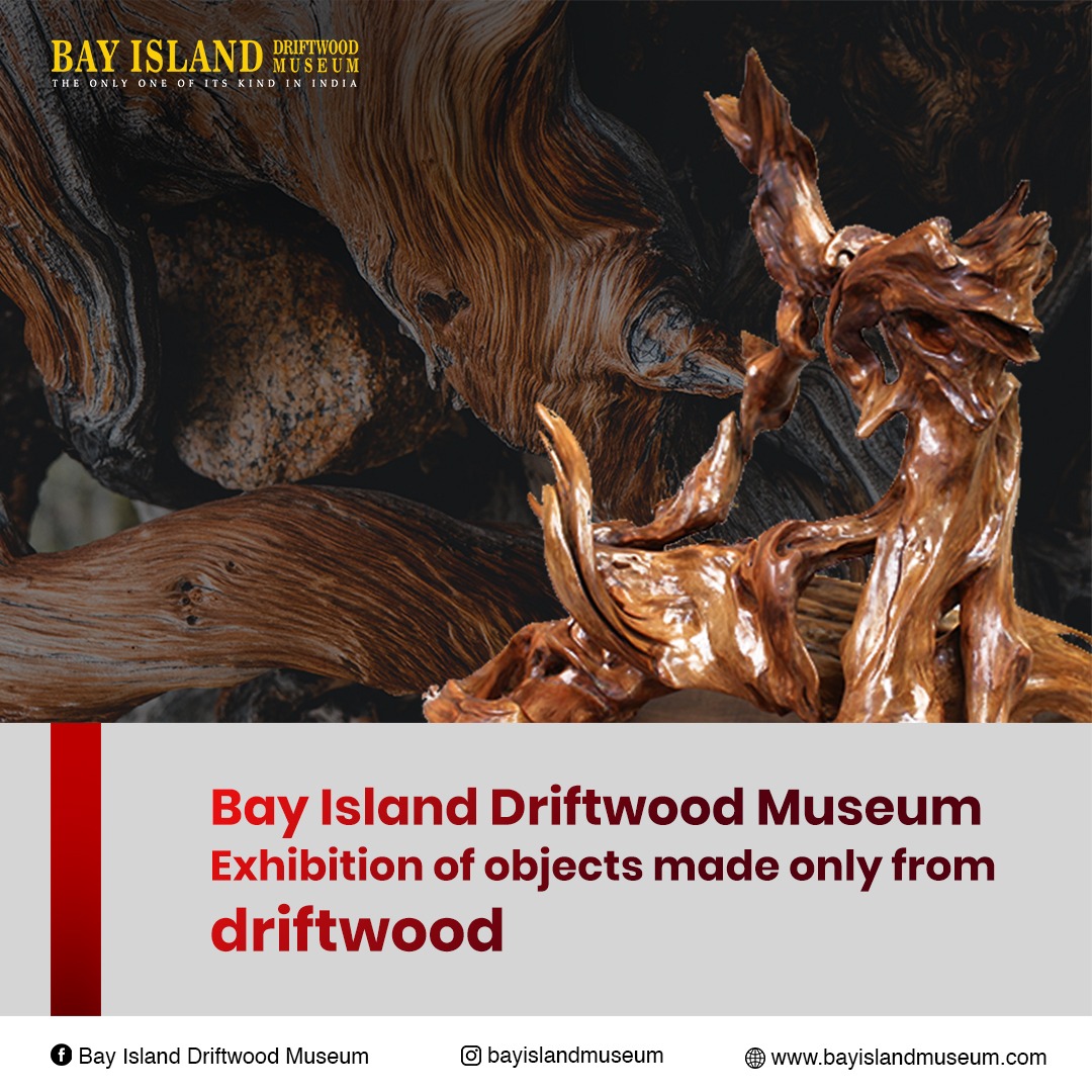 Bayisland Museum on Twitter "A museum that displays a unique