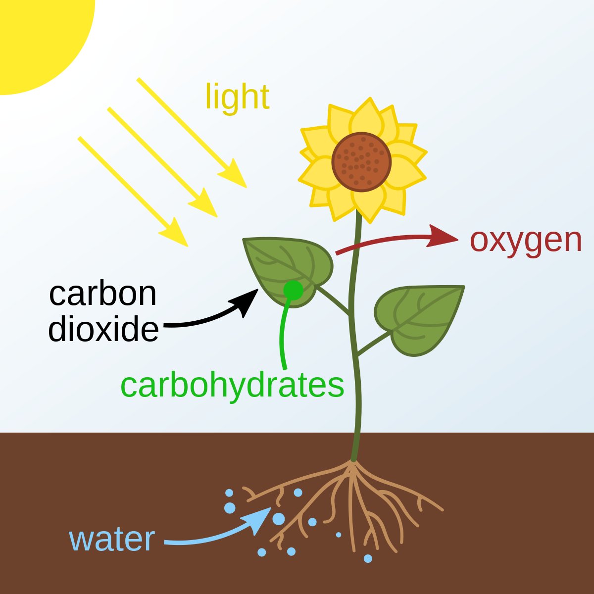 @Martin_A_Nunez @NASA Carbon dioxide is a colorless, odorless gas which forms the basis of all life on earth. The #ClimateScam relies on people who didn't pay attention to their primary school science.

#ClimateScam