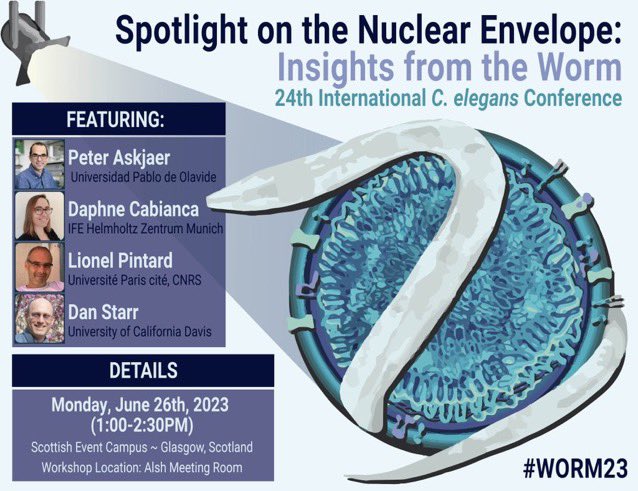 Today is the day #worm23 ! Come learn about the nuclear envelope 🪱!