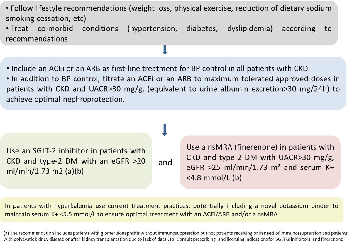 Ckj on twitter mineralocorticoid receptor antagonist use in chronic