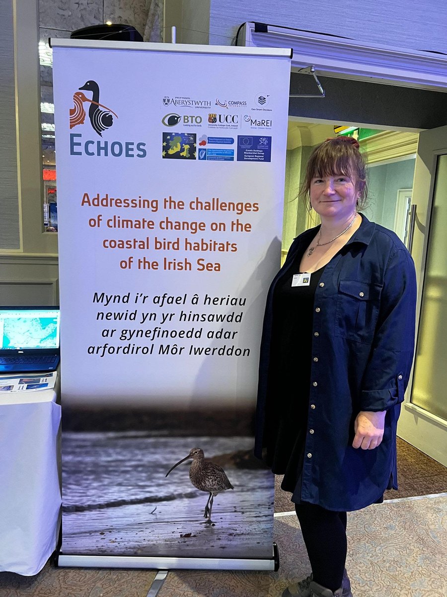 ECHOES project tweet media