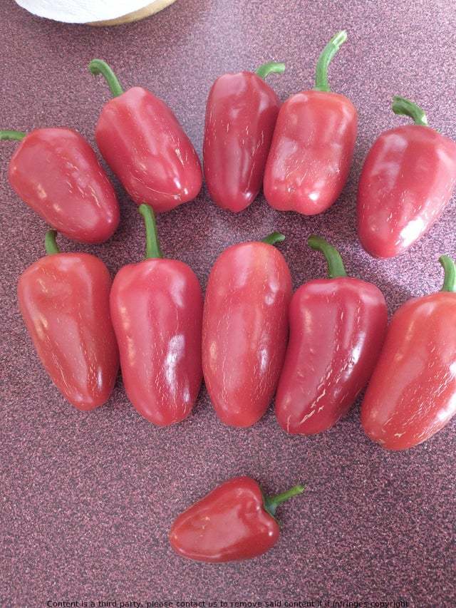 ARyan6055's tweet photo. Red peppers that have a very small amount of heat. When cooked, they become soft and disappear. https://t.co/0kIvGKxidn