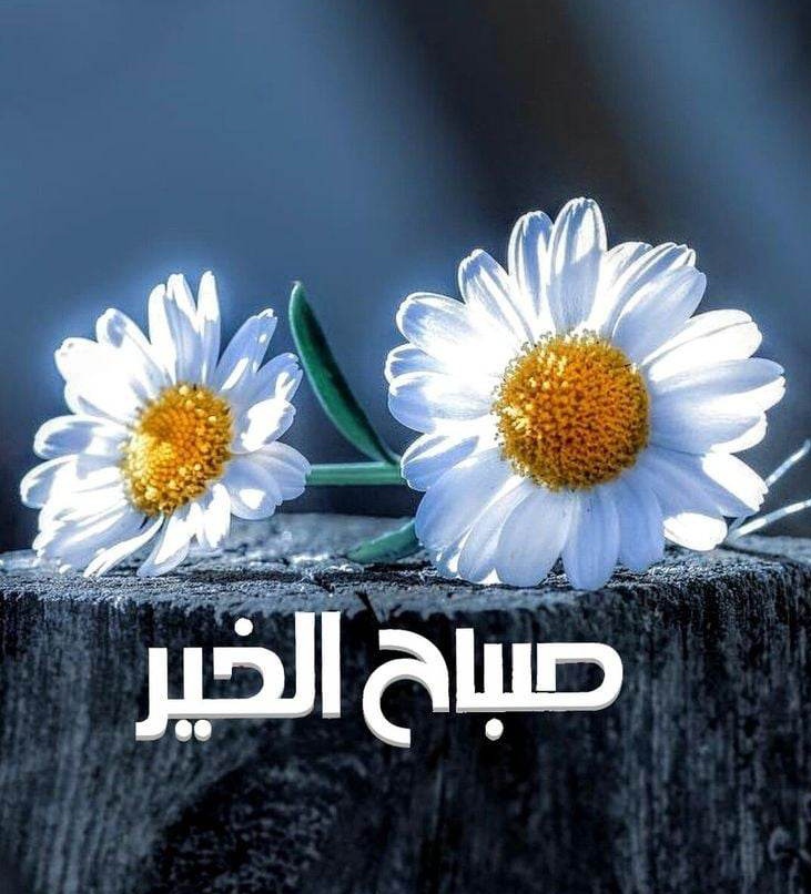 اليـوم يـوم التـروية.. اللَّهـم اروي حيـاتـنا  بِالاقـدار السعيـدة وَ الايـام الجميلـة وَ ابعـد عـنا هـم الدنيـا وَ ضيـق الحيـاة.