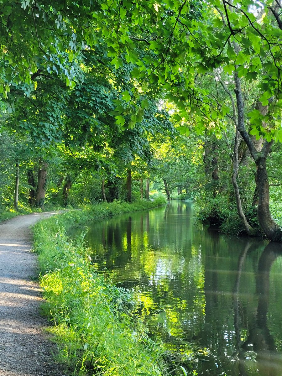 We walked along the local canal and lanes this morning. The green of the trees reflecting in the canal was beautiful.

#localwalks #walkswithmydog #CanalWalk #wildlifewalks #reflections #mindfullwalking