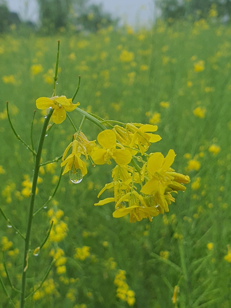 김인호 (@aeongho) on Twitter photo 