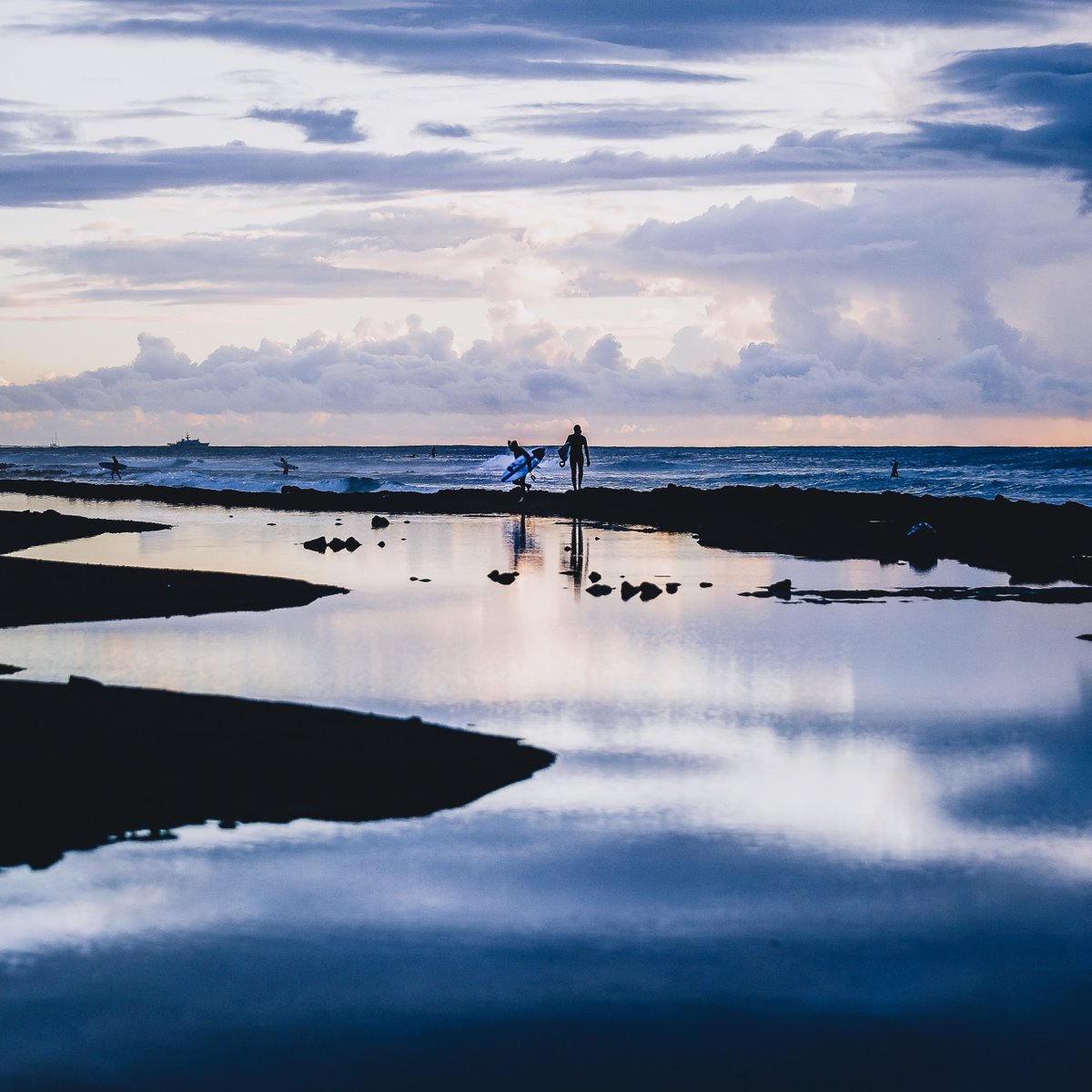 La foto è stata scattata dal fotografo Filipe Casiraghi che ha scelto di sostenere la campagna Tartalove donando questa preziosa opera.

Partecipa all’asta su CharityStars per ricevere questa meravigliosa stampa d'arte a casa
charitystars.com/product/last-w…