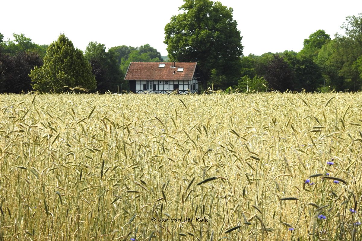 Bekiek Twente tweet media